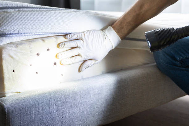 Professional Pest Control in Ephrata, PA