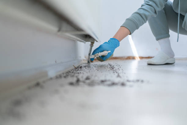 Best Best Pest Control Companies  in Ephrata, PA